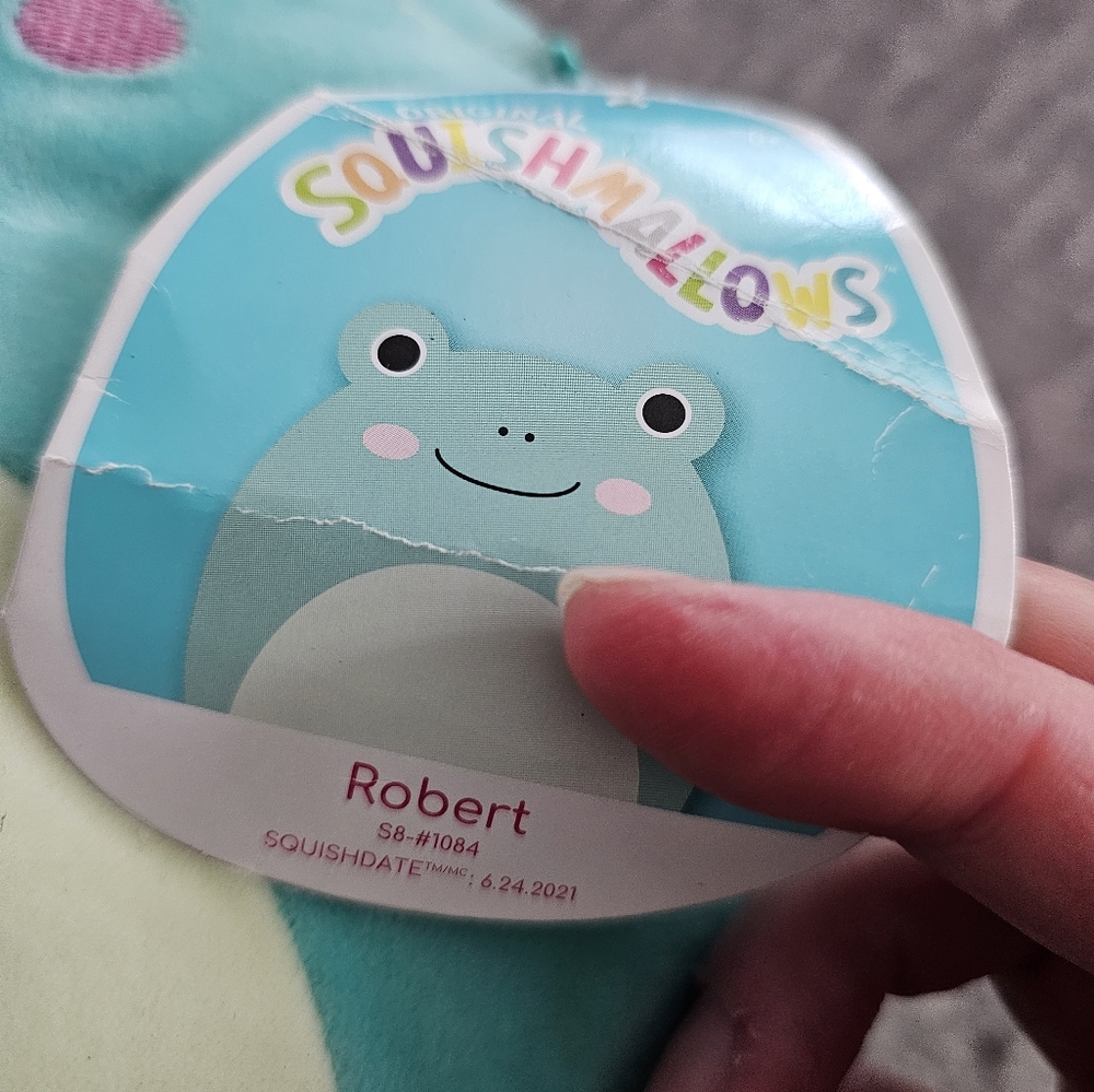 ORIGINAL SQUISHMELLOW ROBERT - Picture 2 of 2